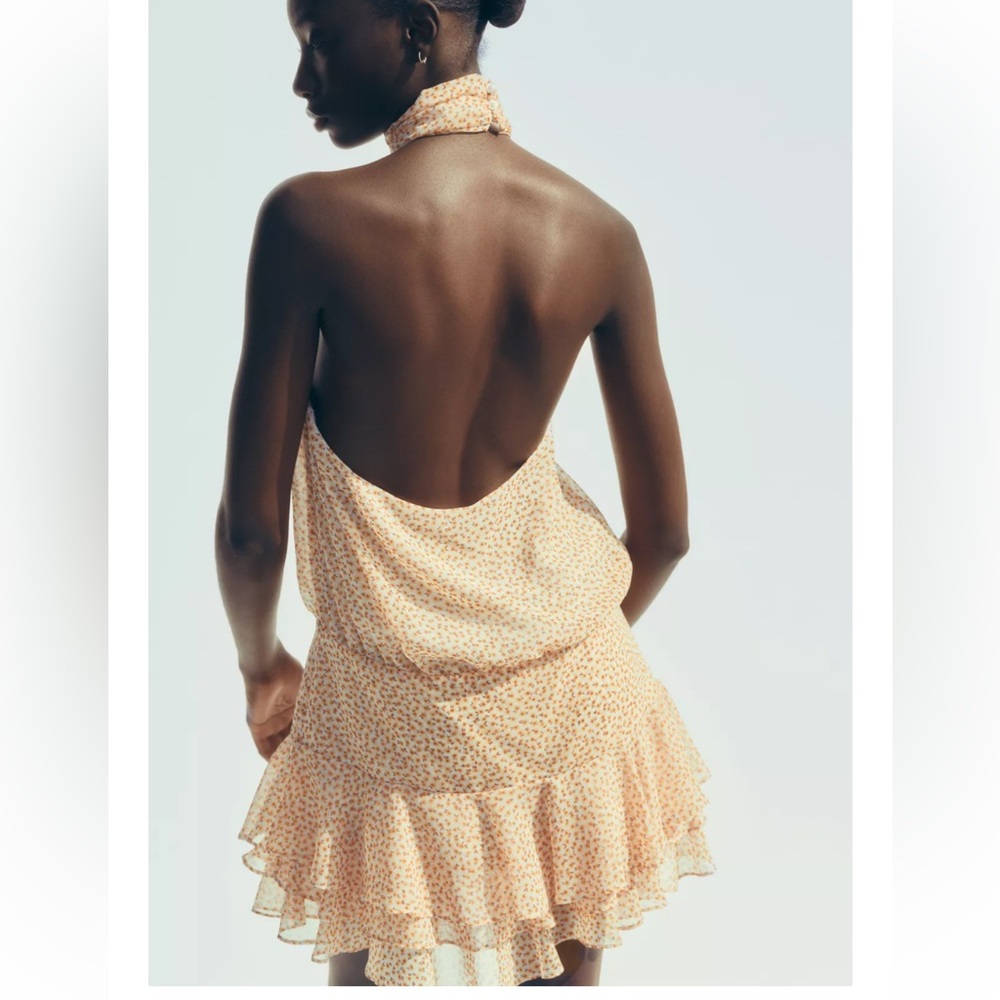 Zara dress